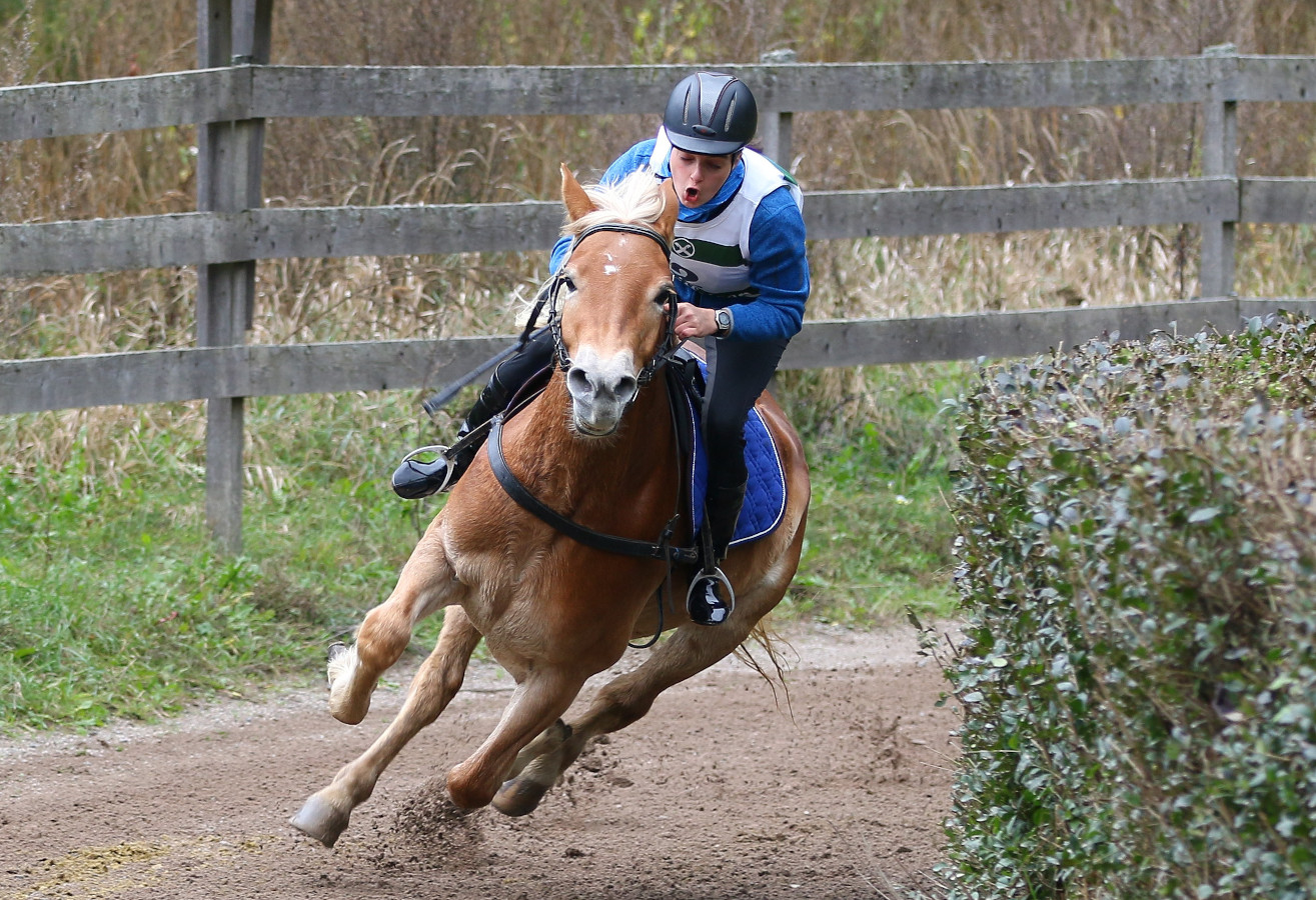 SHNJ-Sprintrennen 2023