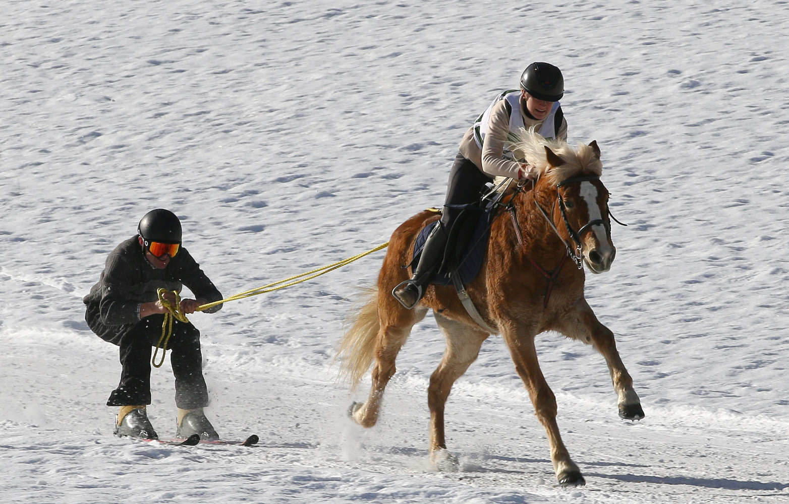 Dreikönigsrennen 2024