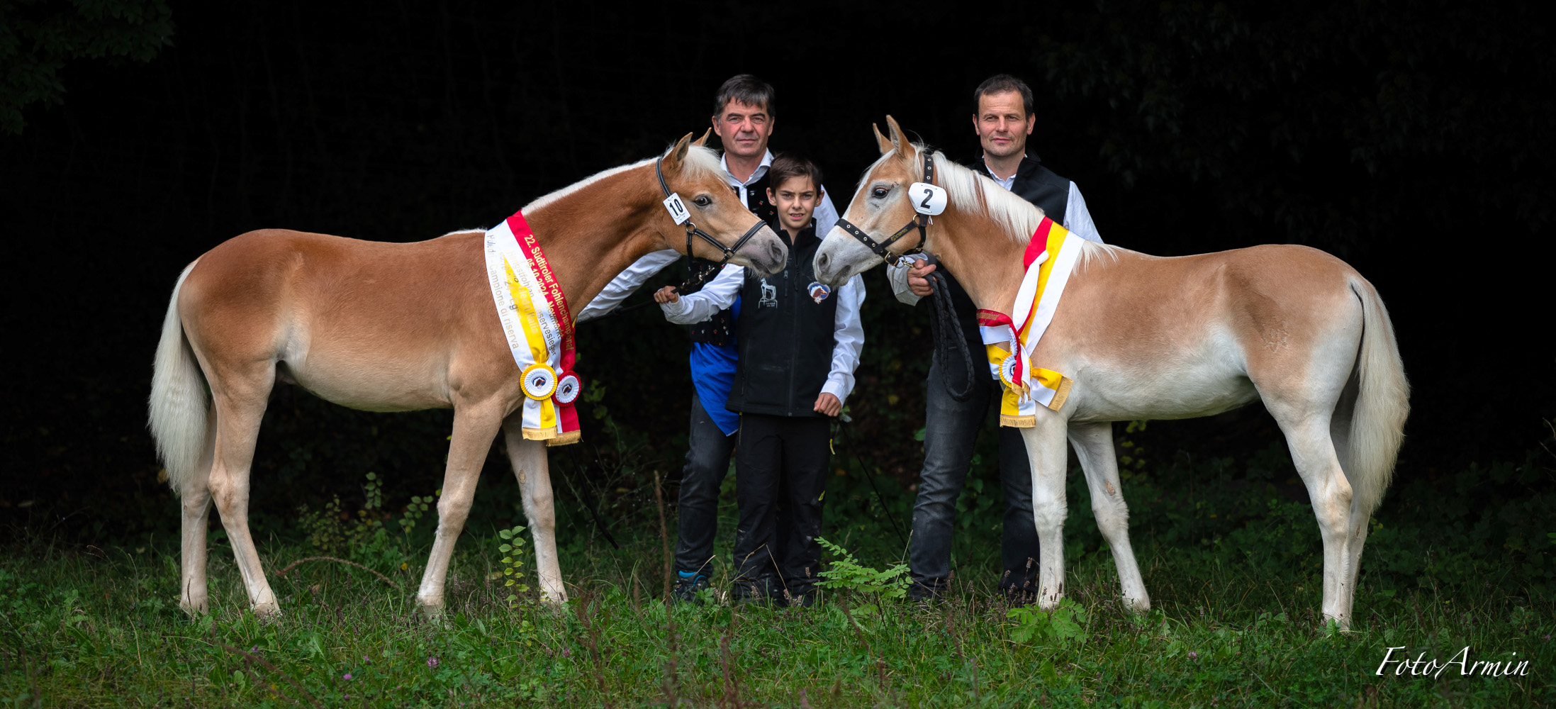 22. Südtiroler Championatsfohlen