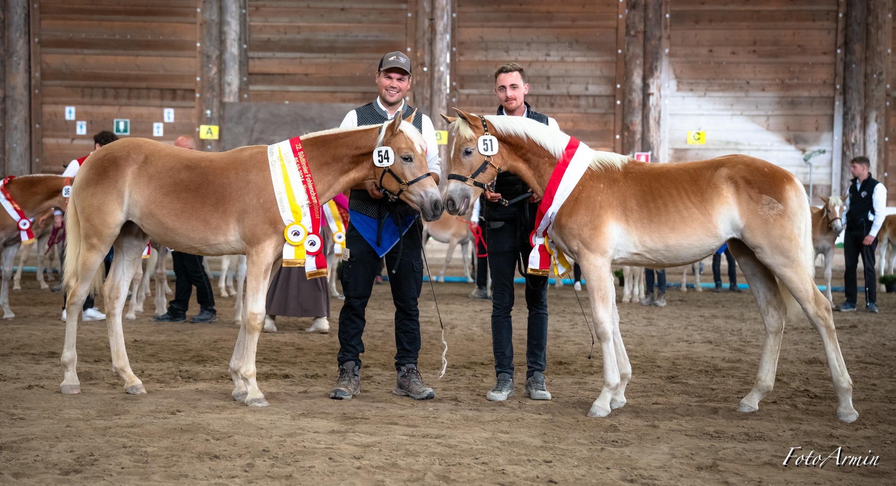 22. Südtiroler Fohlenchampionat