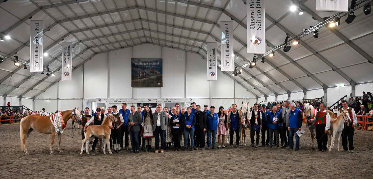 150 Jahre Südtiroler Haflinger