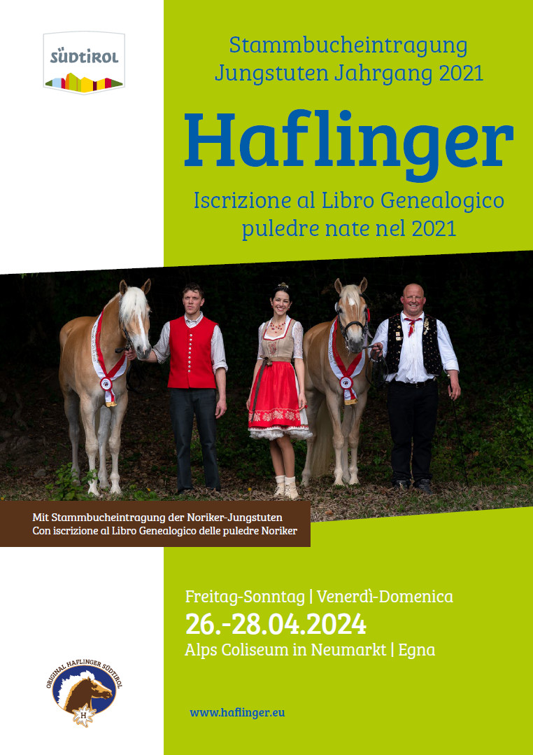 Our downloads • haflinger.eu