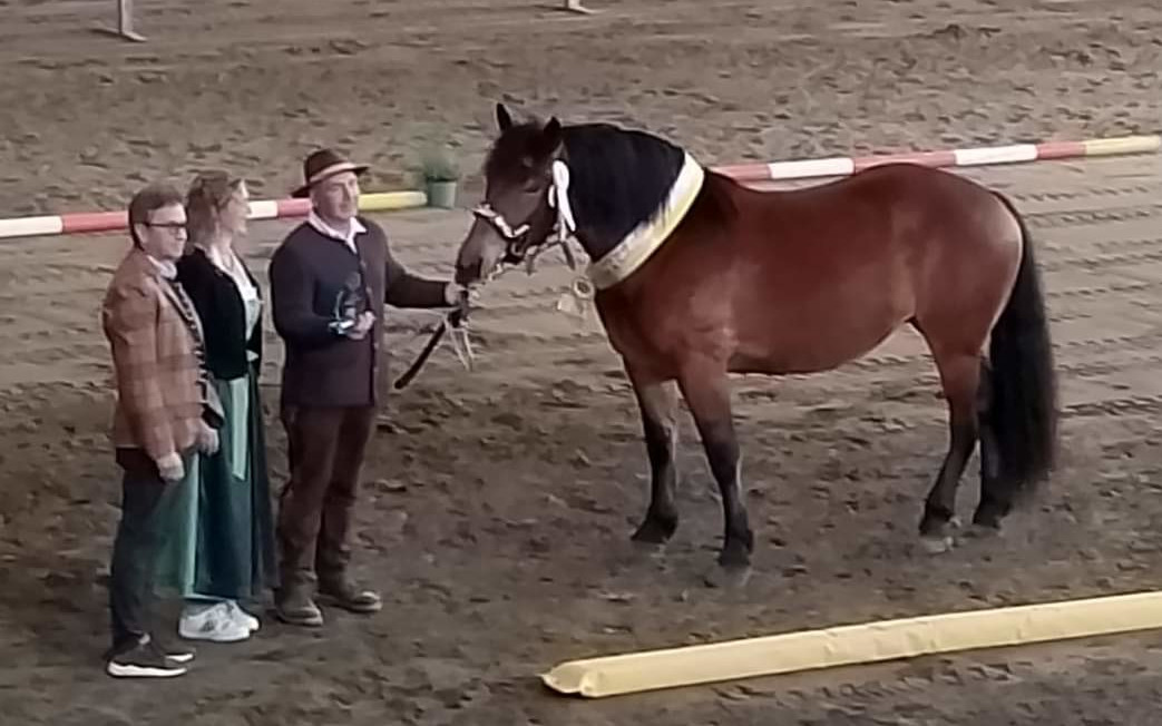 Stammbuchaufnahme 2024