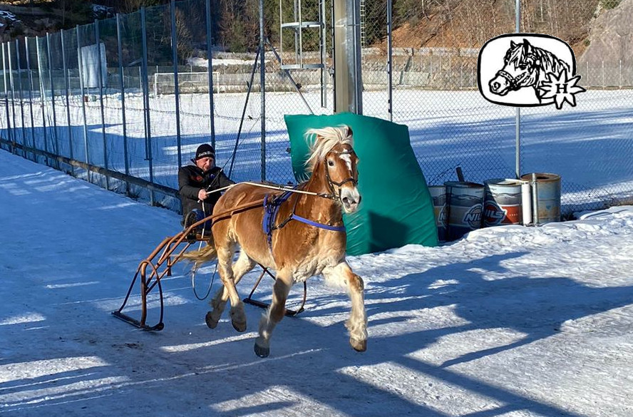 Winterrennen in Hafling