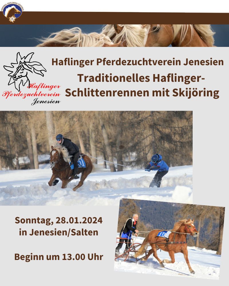 Pferdeschlittenrennen mit Skijöring in Jenesien