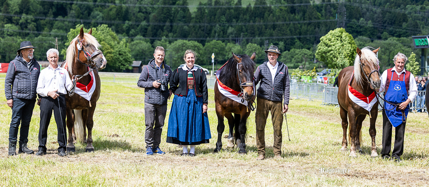 Gesamttiroler Noriker Landesschau 2025