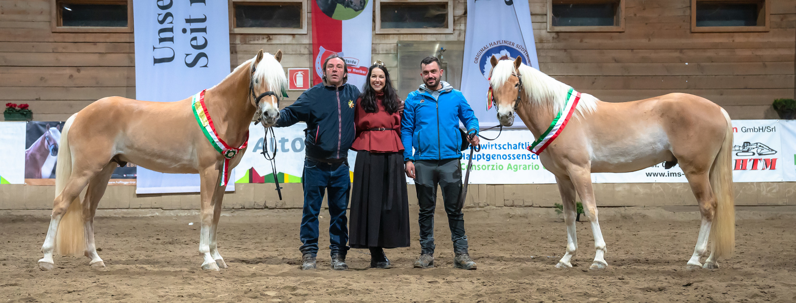 2025 Italian National Selection of Haflinger Colts