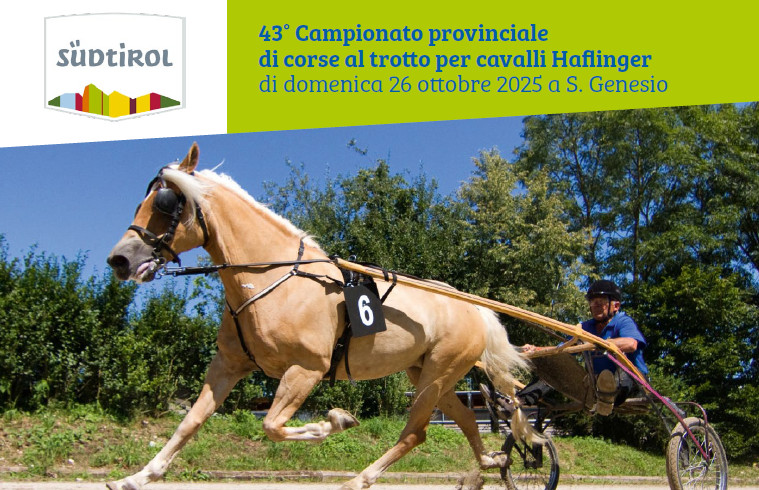 Campionato corse al trotto 2025