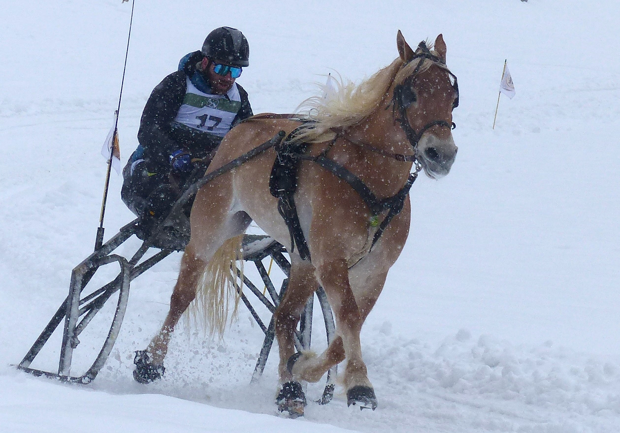 2025 Sleigh Races County Championship