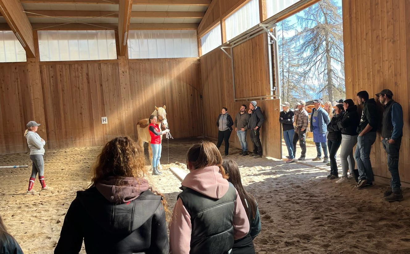 SHNJ Vorführkurs 2025