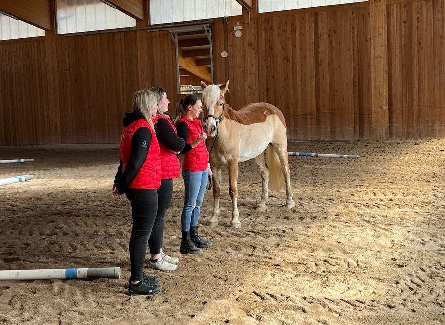 SHNJ-Vorführkurs 2025