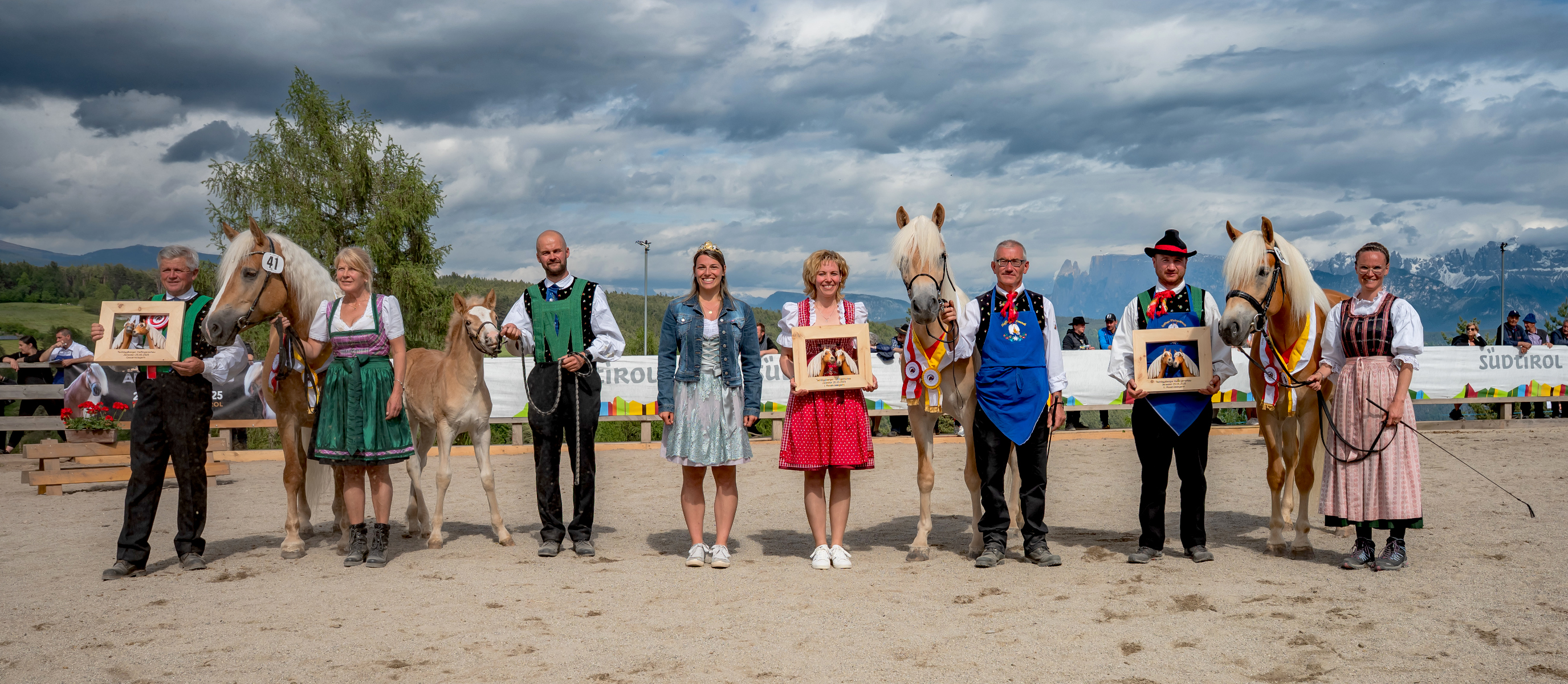 Tschögglberger Haflingerschau 2025