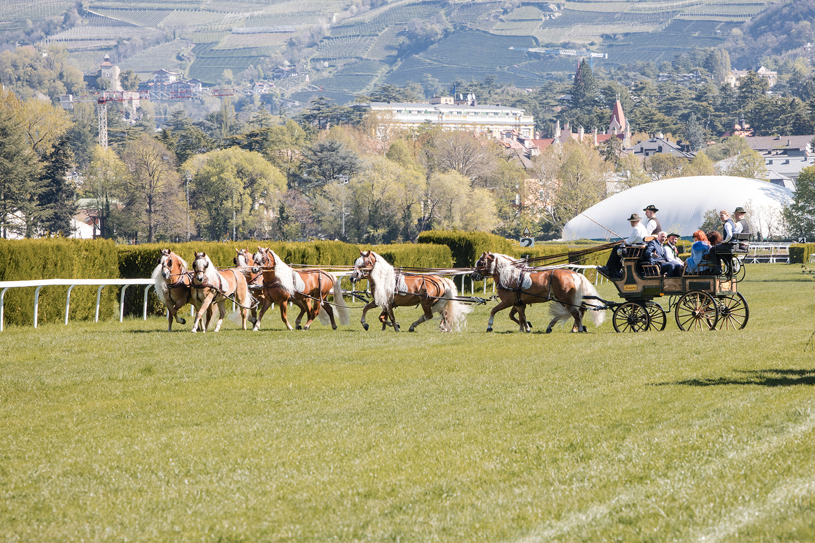 Achtspänner Luber Claus