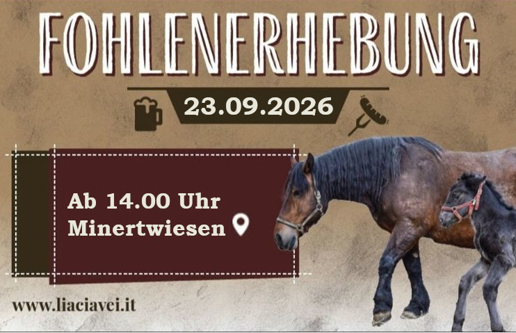 Fohlenerhebung Gröden 2026