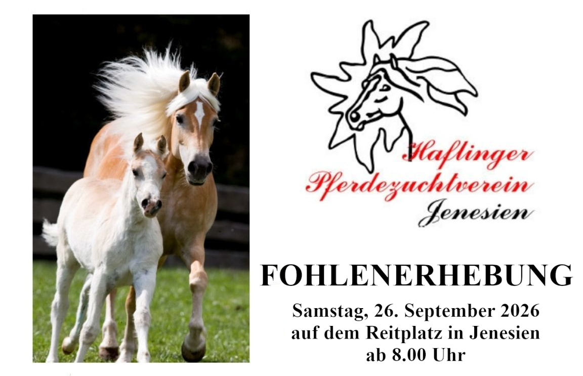 Fohlenerhebung Jenesien 2026