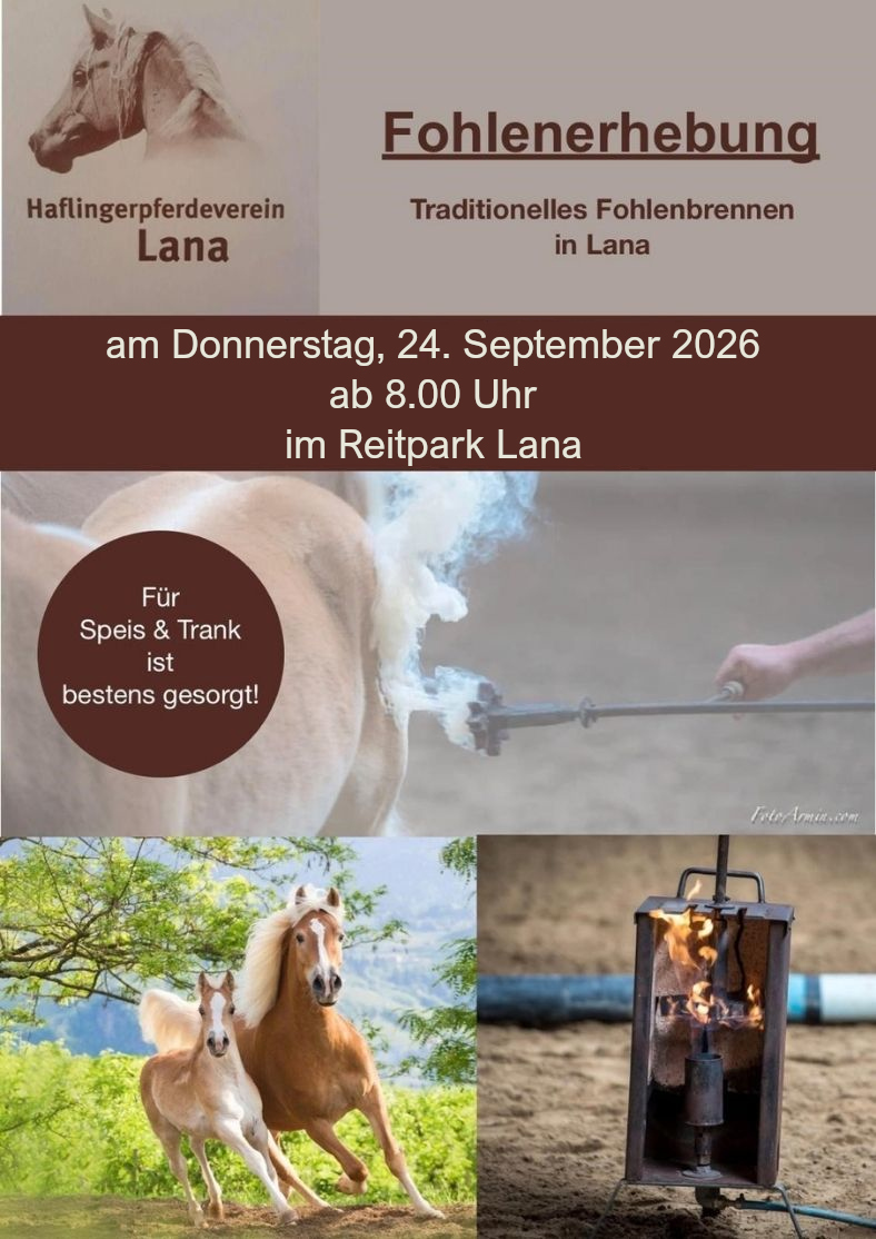 Fohlenerhebung Lana 2026