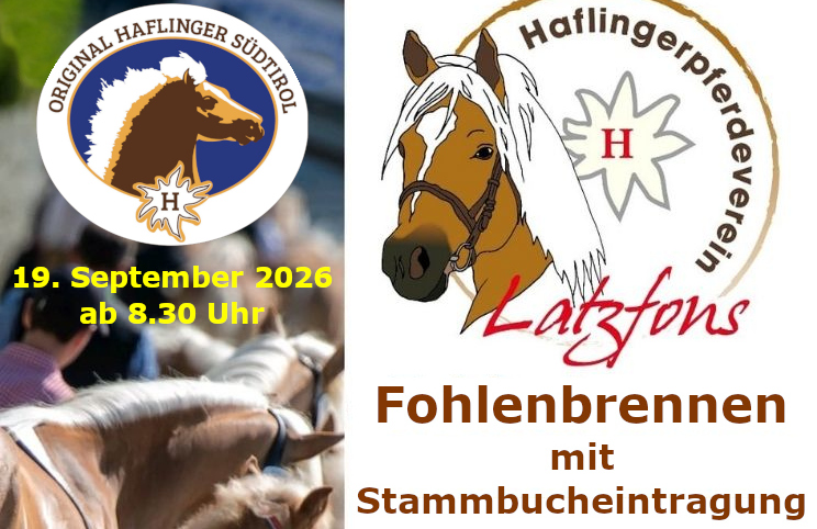 Fohlenerhebung Latzfons 2026
