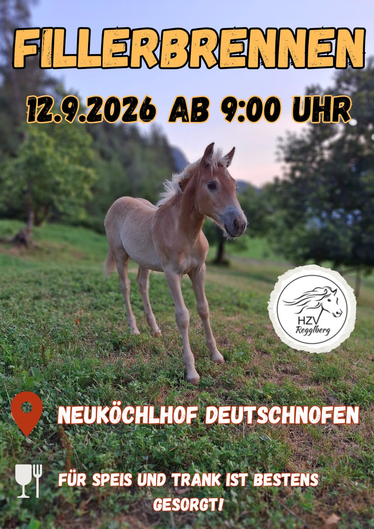 Fohlenerhebung Regglberg 2026