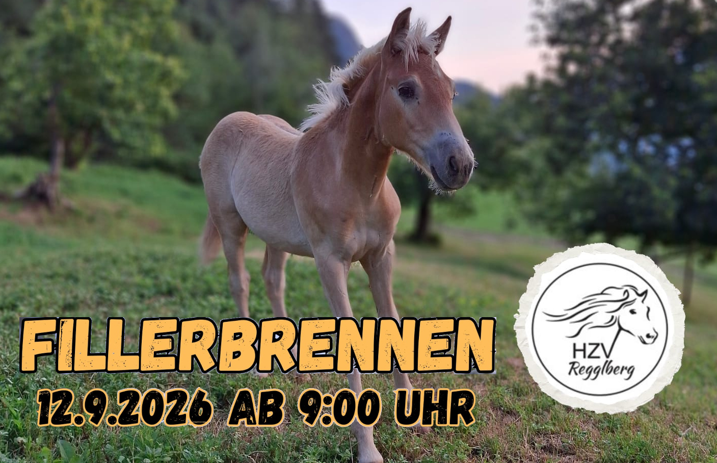 Fohlenerhebung Regglberg 2026
