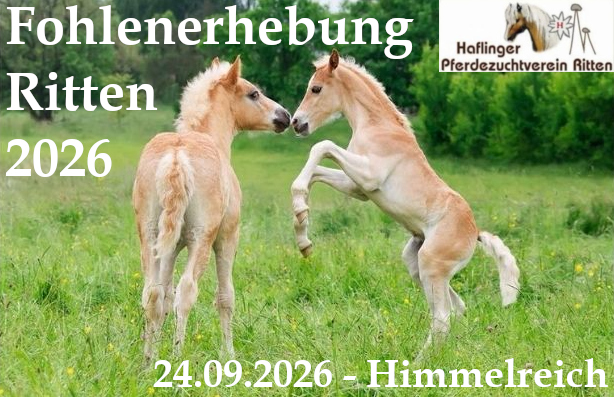 Fohlenerhebung Ritten 2026