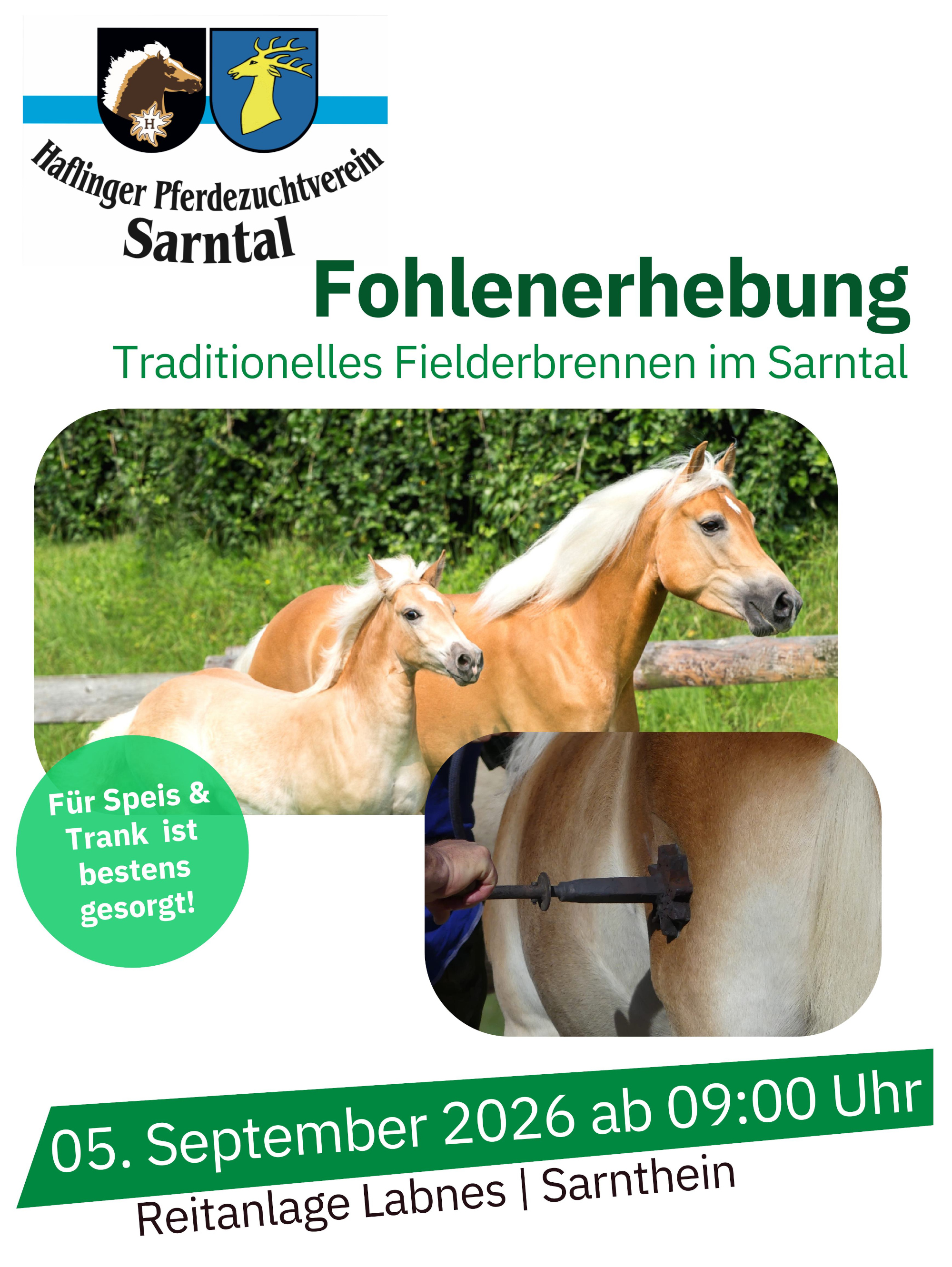 Fohlenerhebung Sarntal 2026