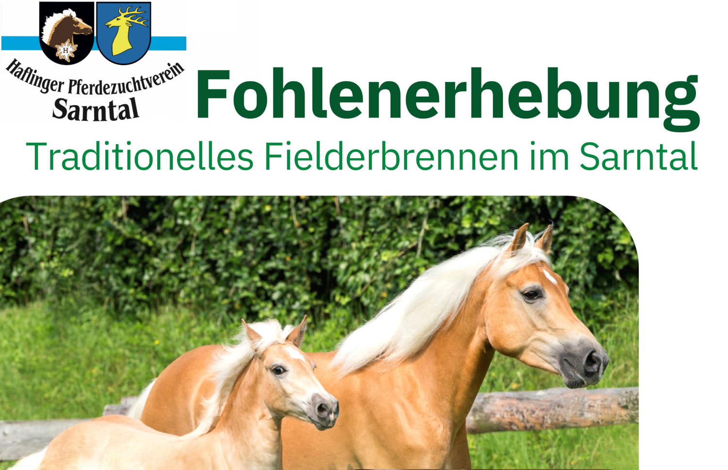 Fohlenerhebung Sarntal 2026