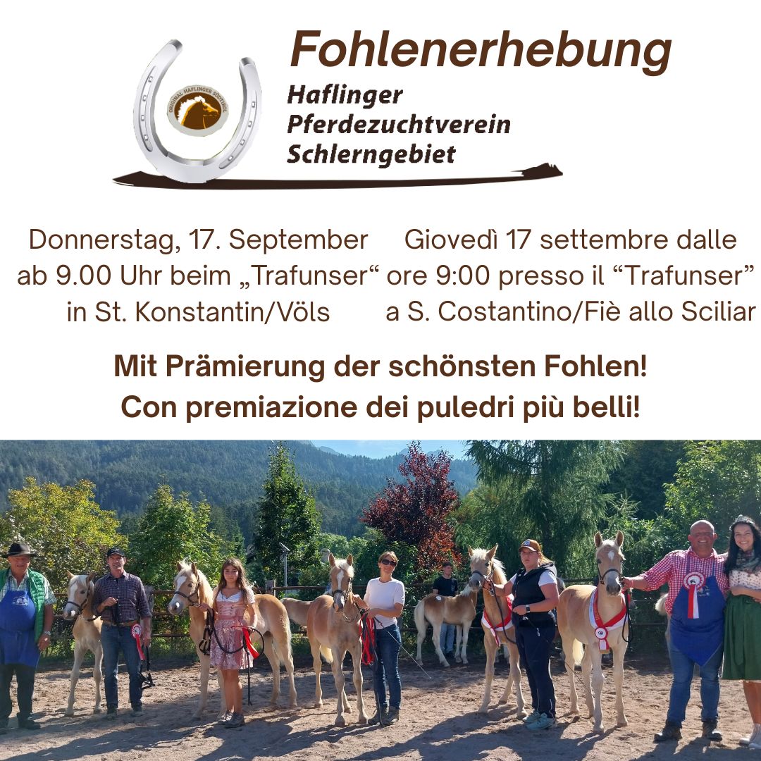 Fohlenerhebung Schlerngebiet 2026
