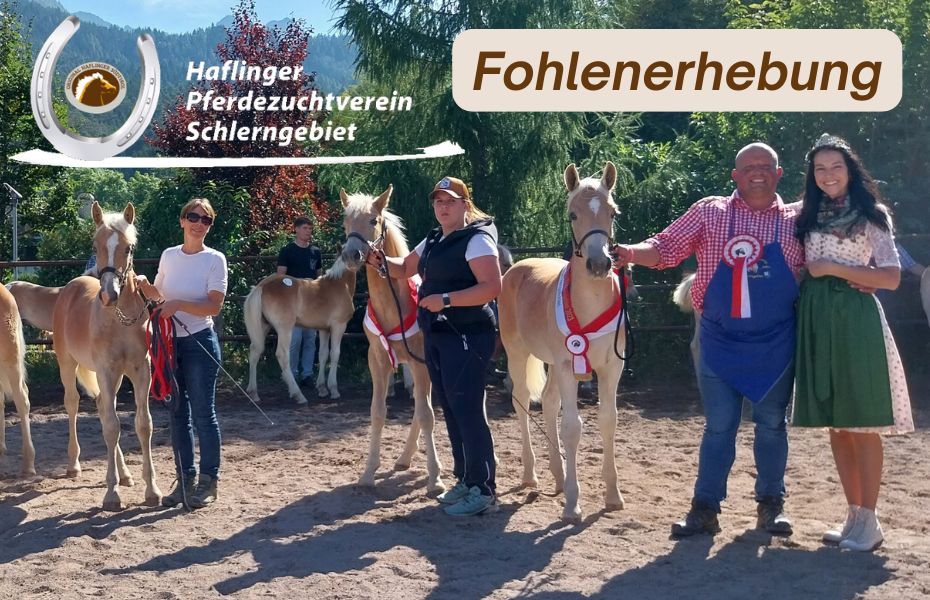 Fohlenerhebung Schlerngebiet 2026