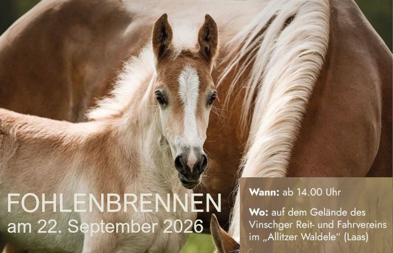 Fohlenerhebung Vinschgau 2026