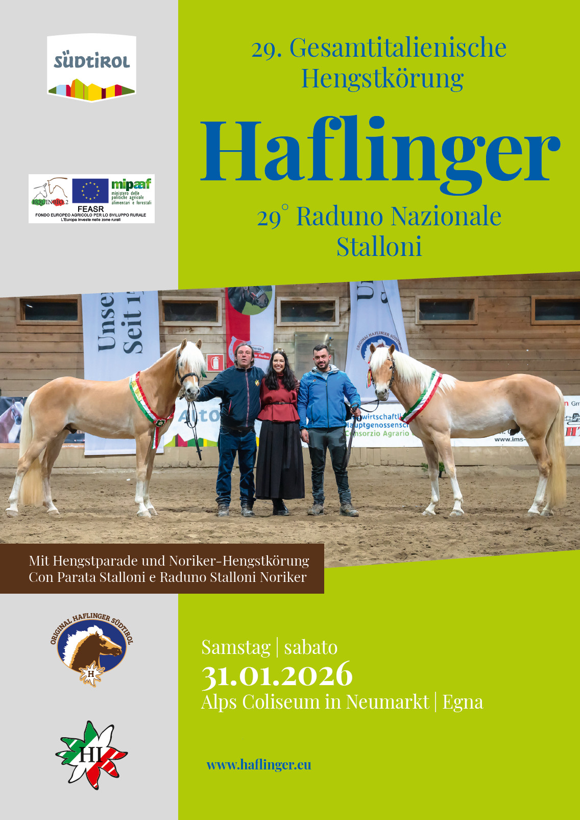 2026 Italian National Selection of Haflinger Colts