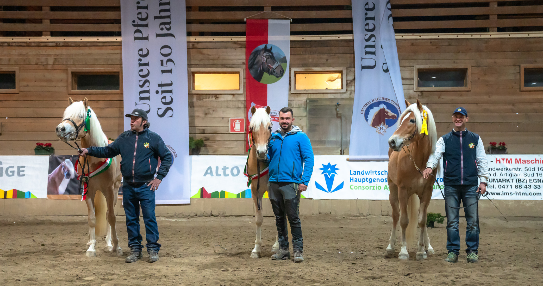 2026 Italian National Selection of Haflinger Colts