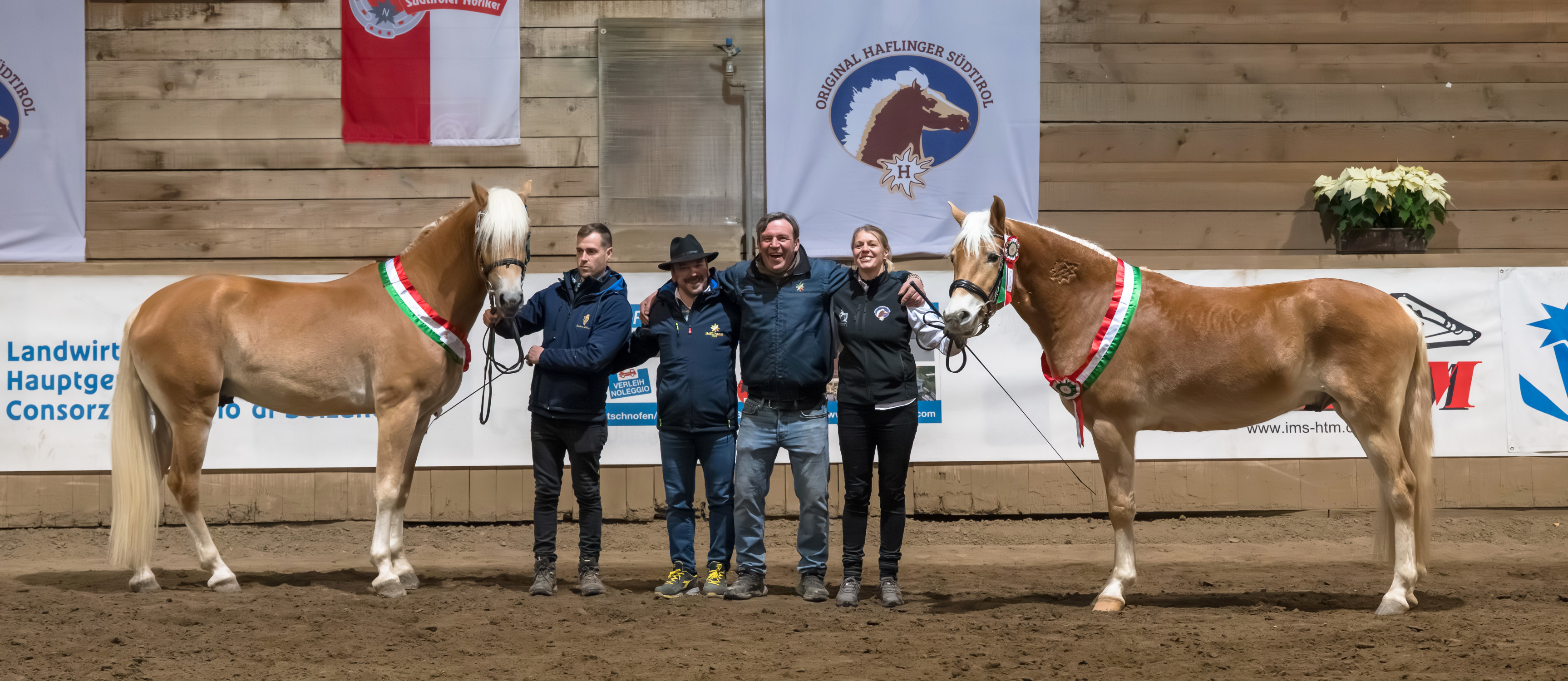 Hengstkörung-Sieger 2026