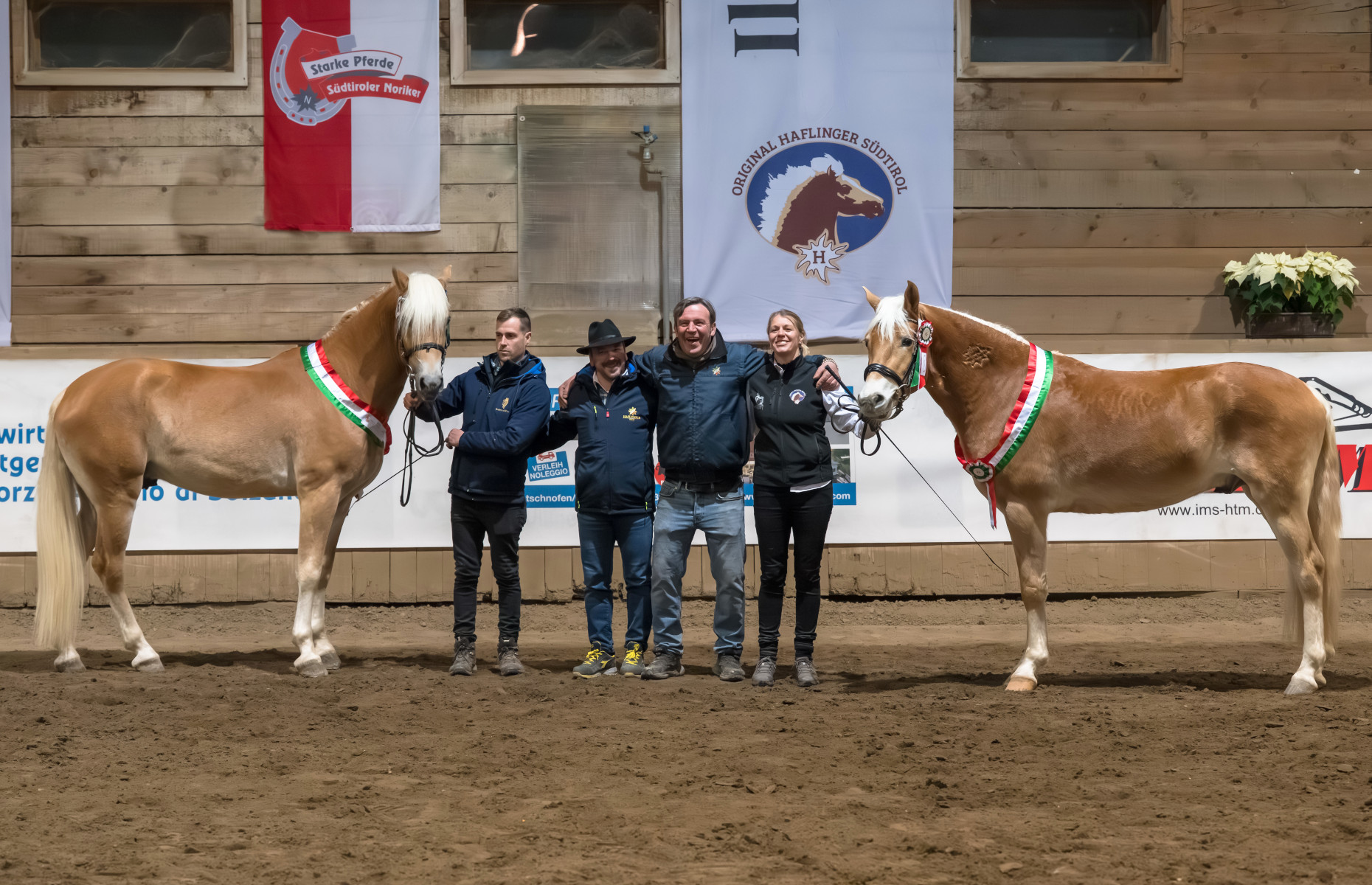 2026 Italian National Selection of Haflinger Colts