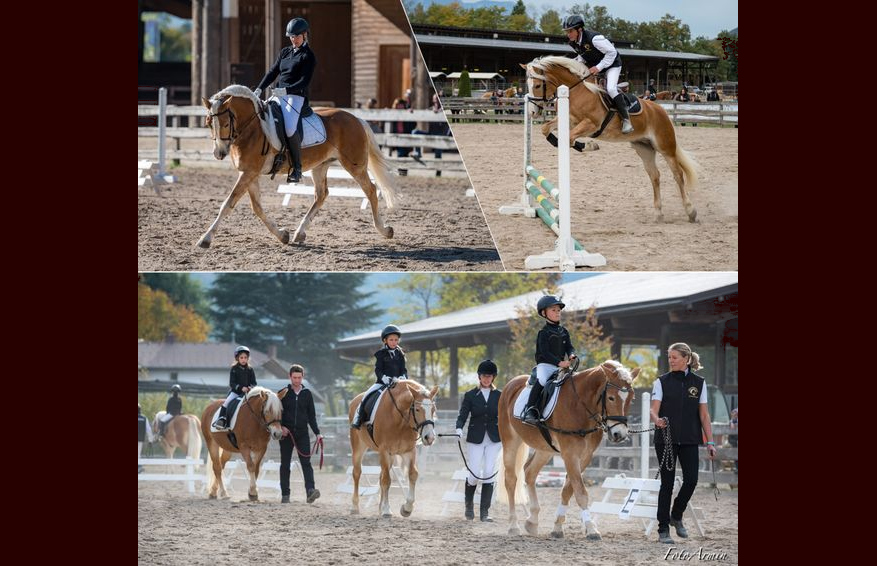 Gara dressage e salto 2022