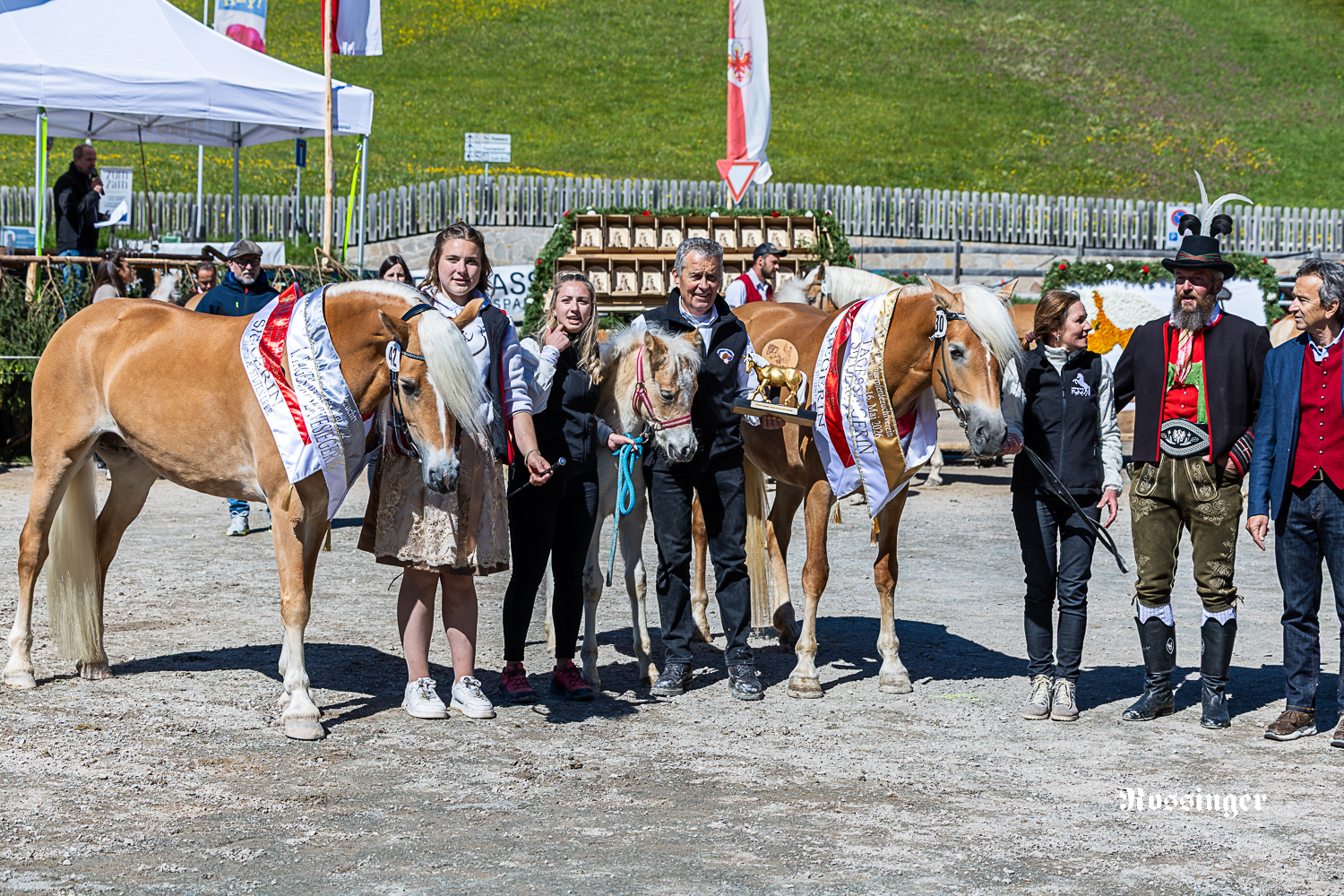 Jubiläumsschau Ritten 2026
