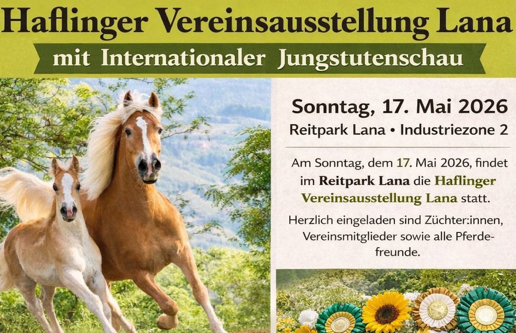 Jungstutenschau Lana 2026
