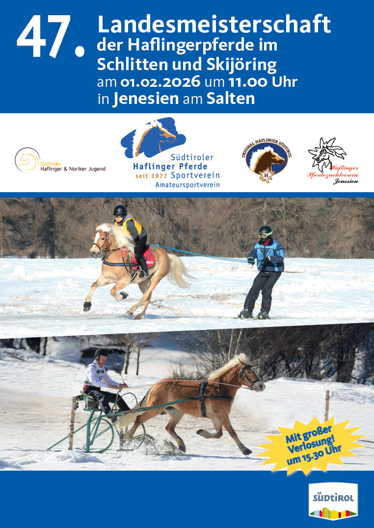 2026 sleigh races championship