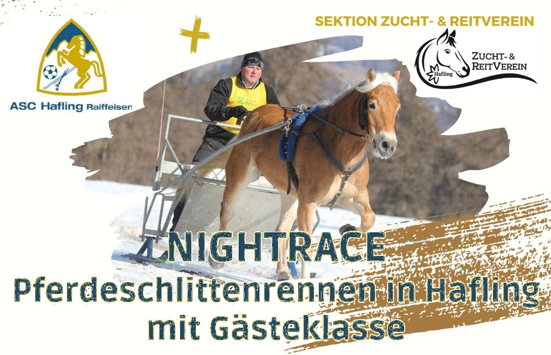 2026 sleigh races Avelengo/Hafling