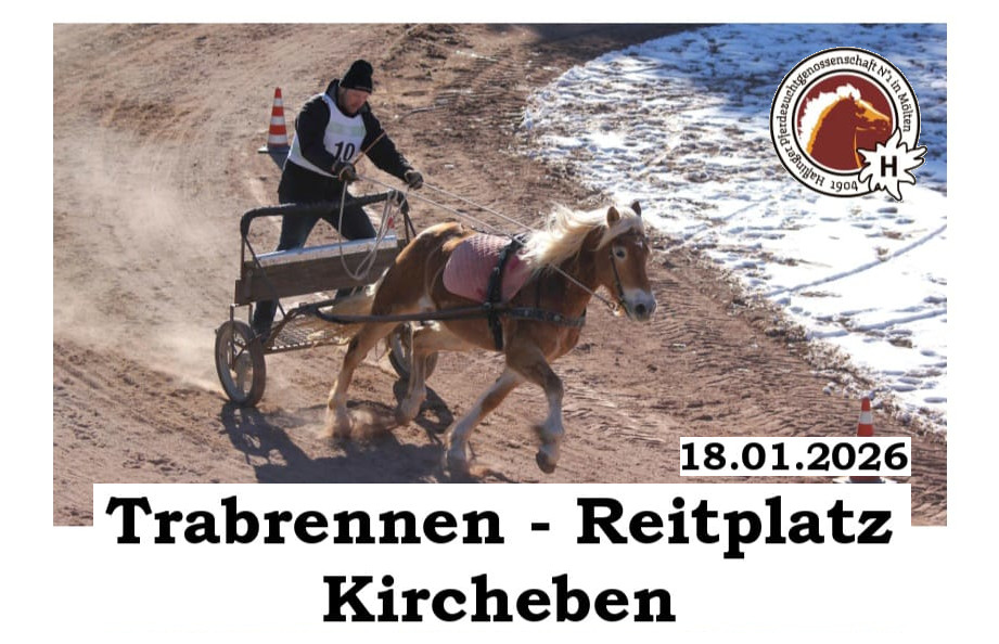2026 Meltina/Mölten sleigh races
