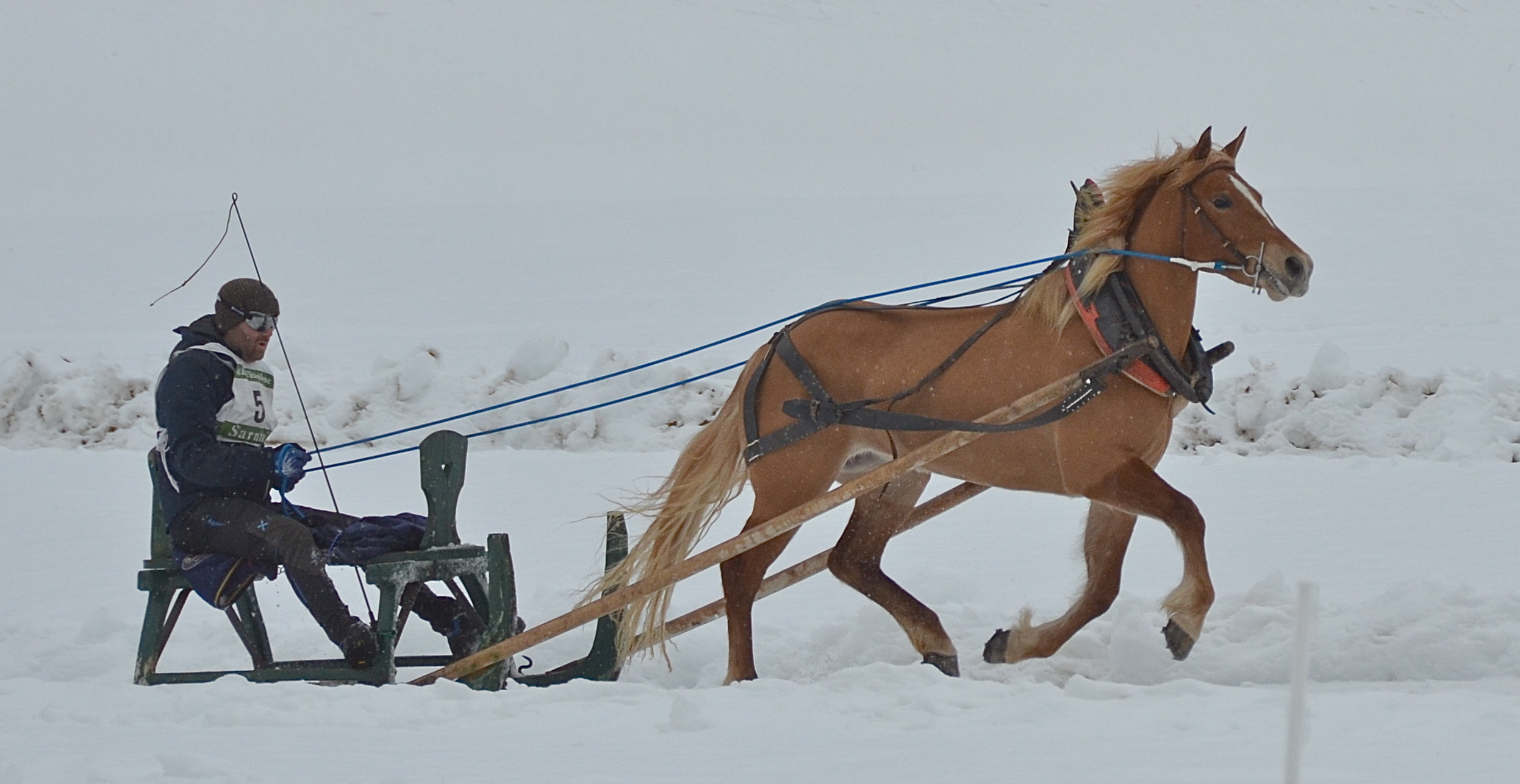 Schlittenrennen Sarntal