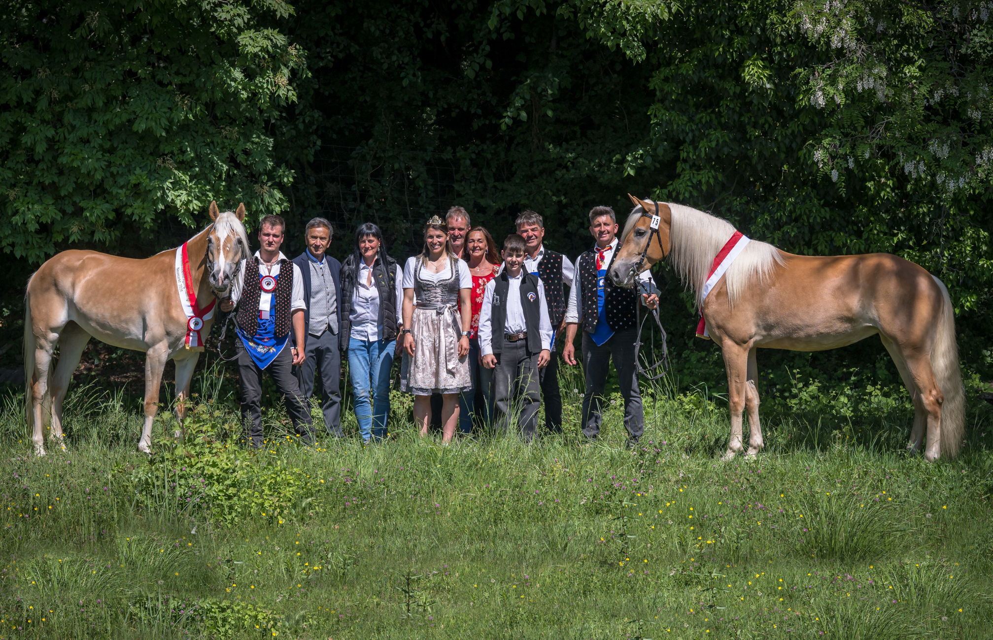 2026 stud book registration