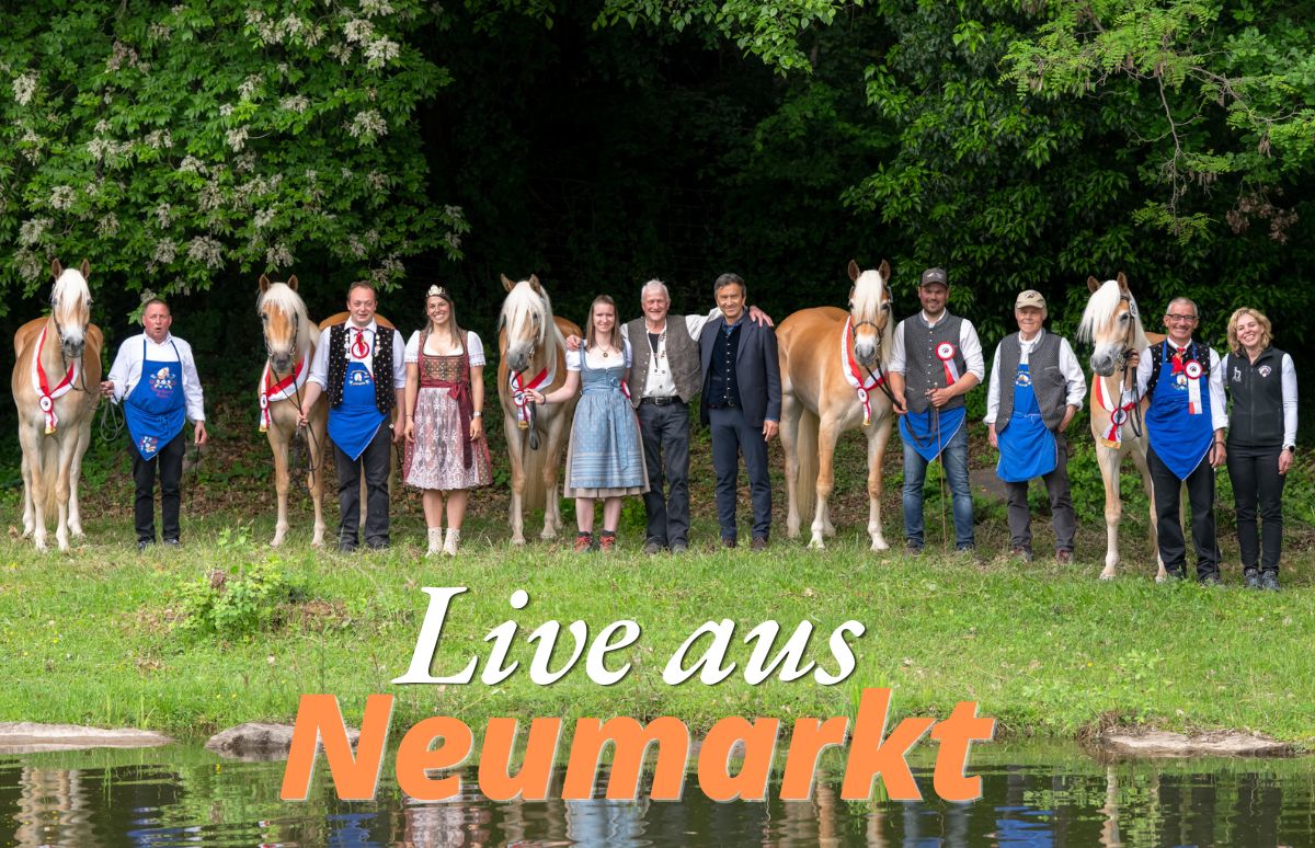 Stammbuchaufnahme 2026