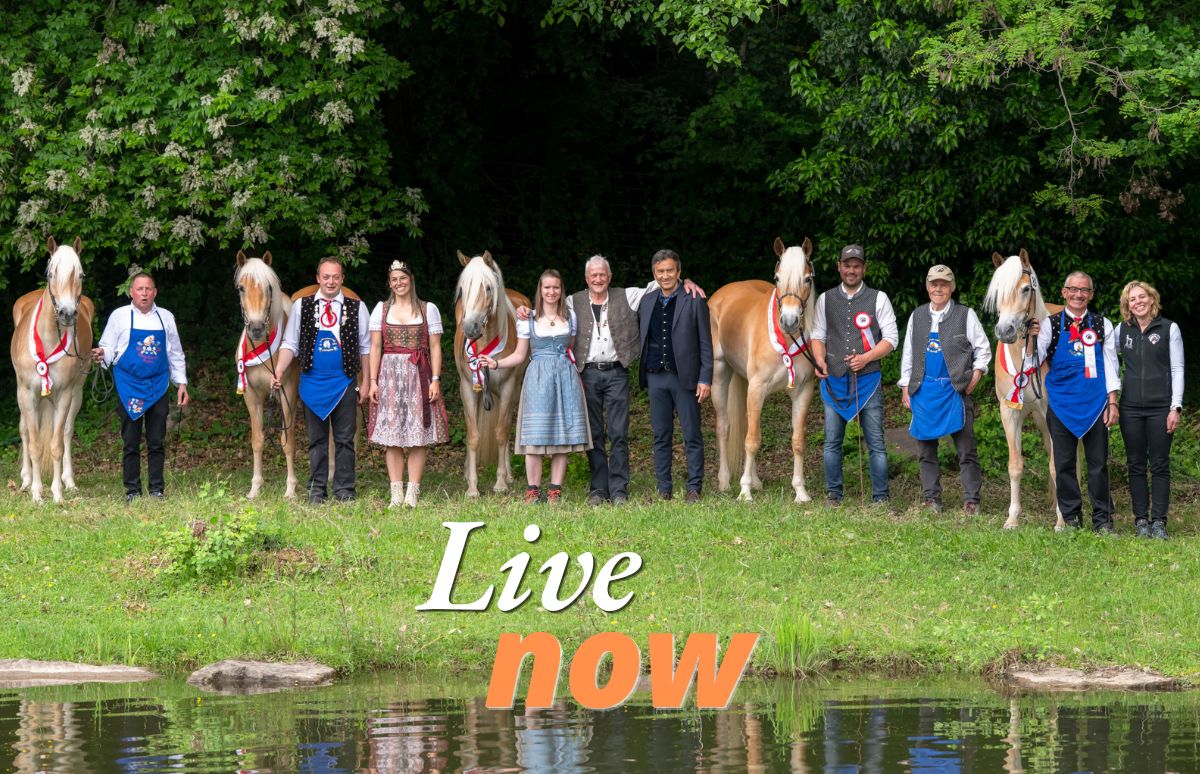 2026 stud book registration