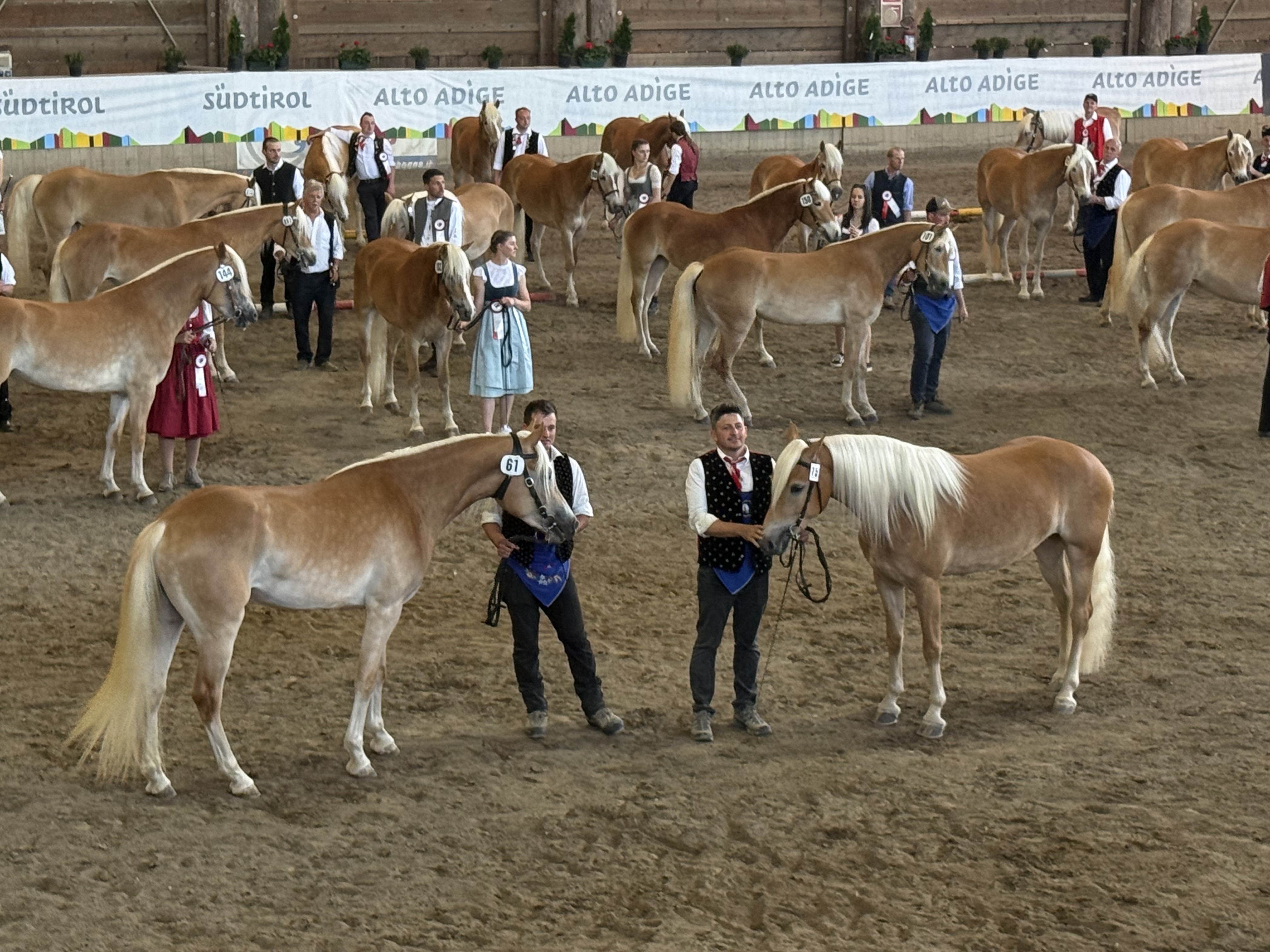 2026 stud book registration