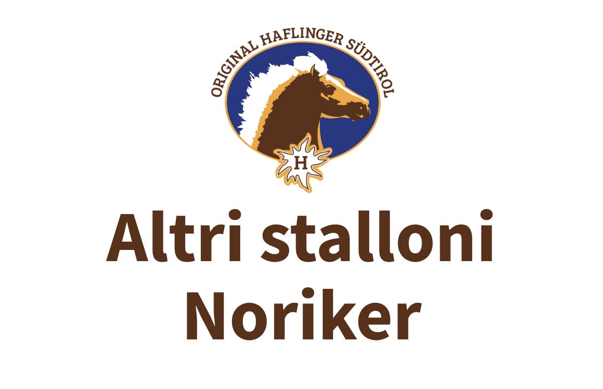 Altri stalloni Noriker