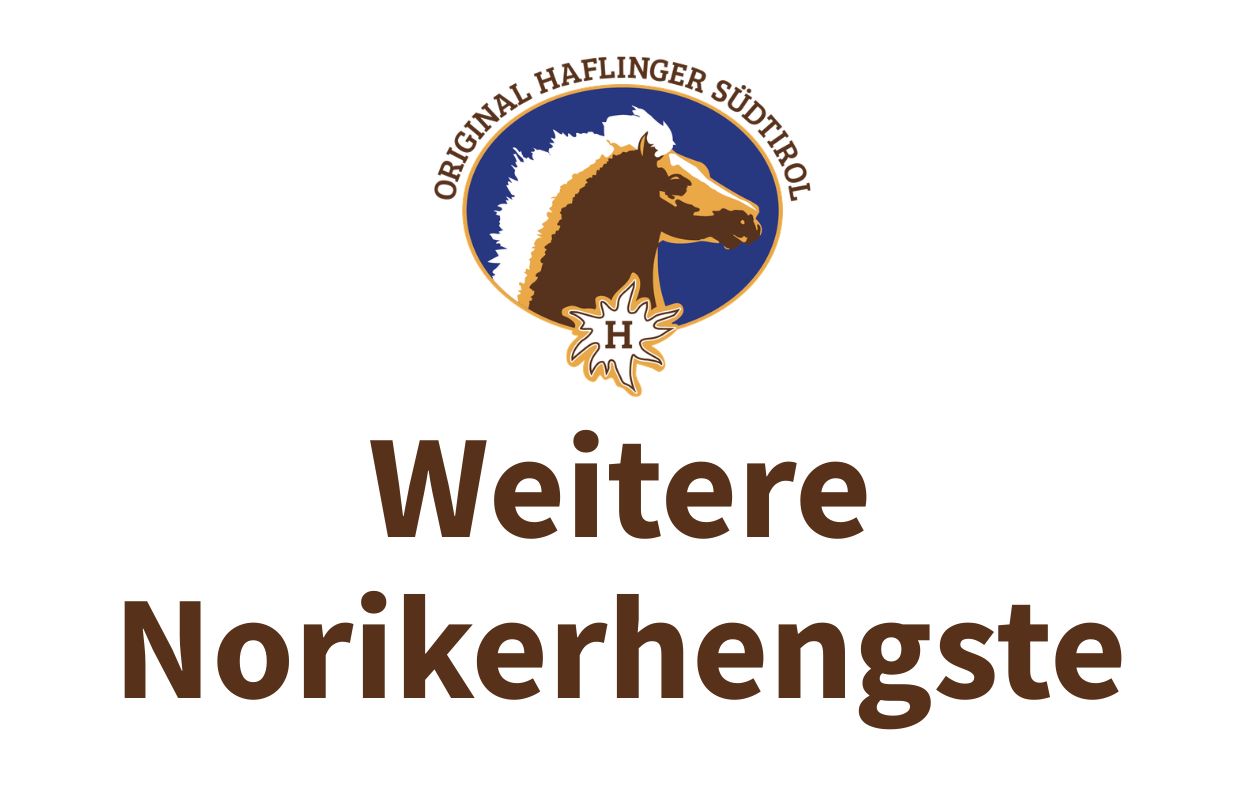 Weitere Norikerhengste