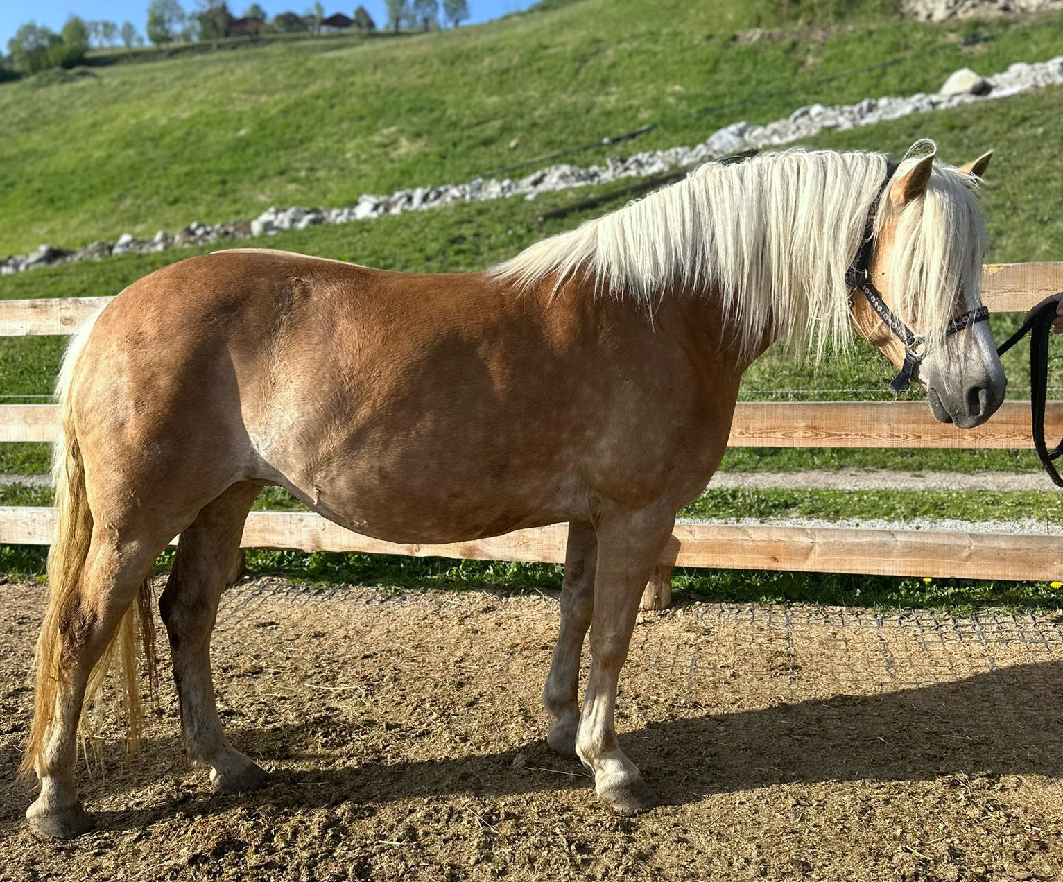 Alaska 040003824280920