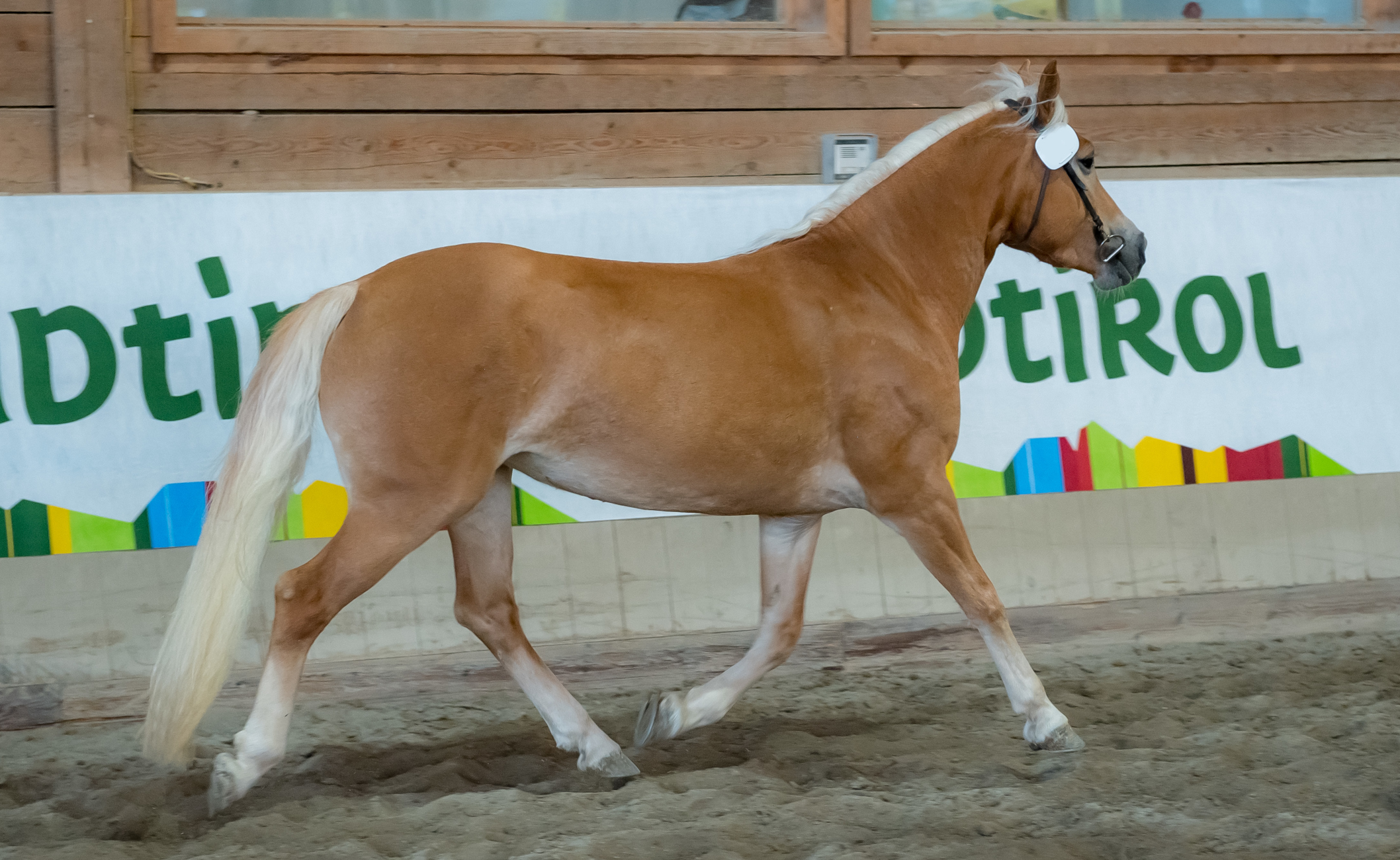 Anna-Maria-G BZ29047