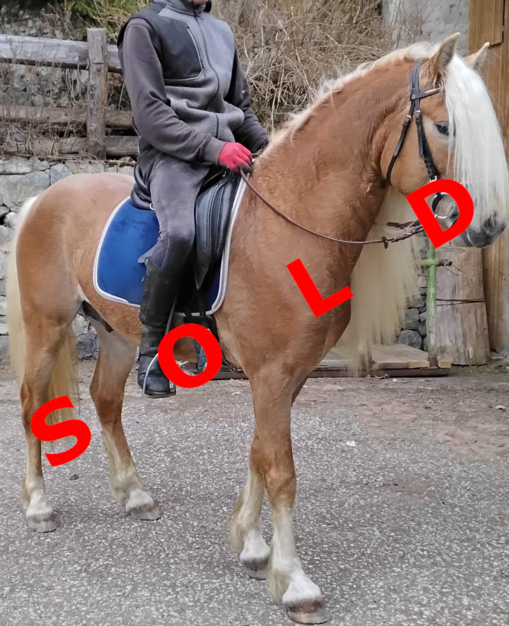 Antinor sold