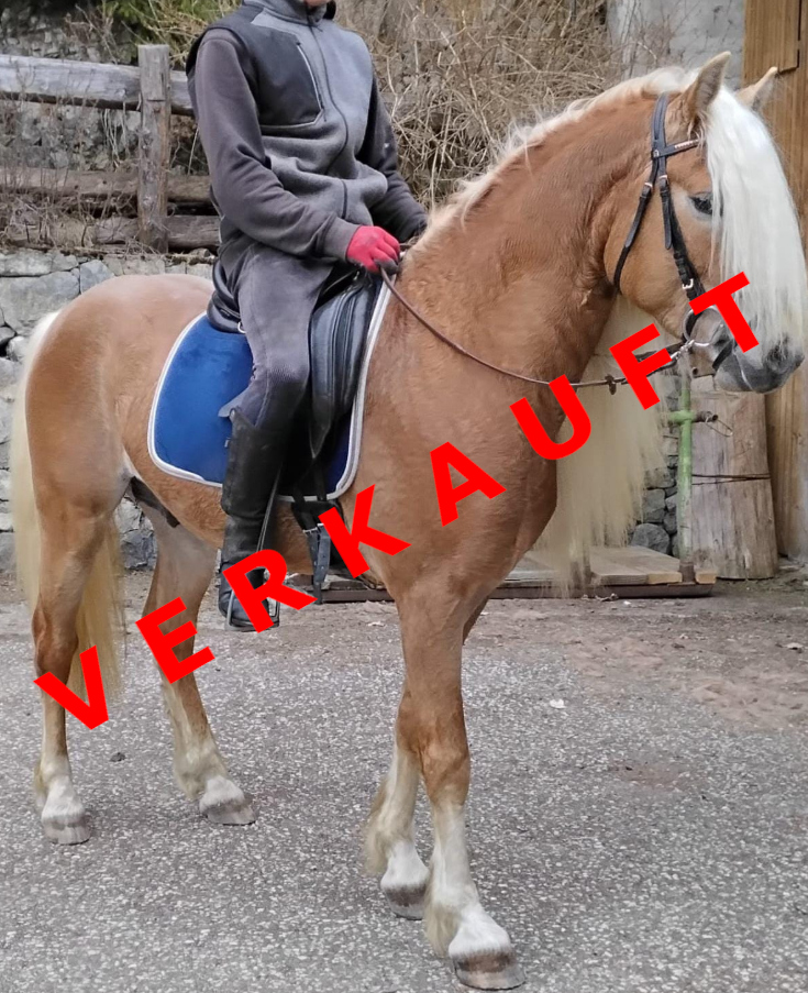 Antinor verkauft